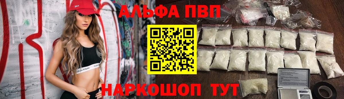 A PVP СК КРИС Элиста