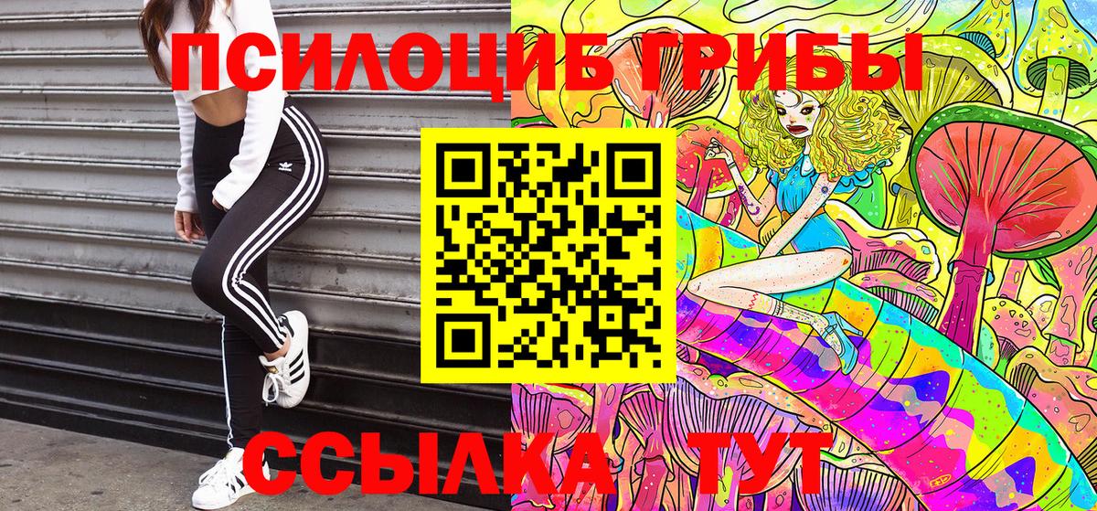 Псилоцибиновые грибы прущие грибы Элиста