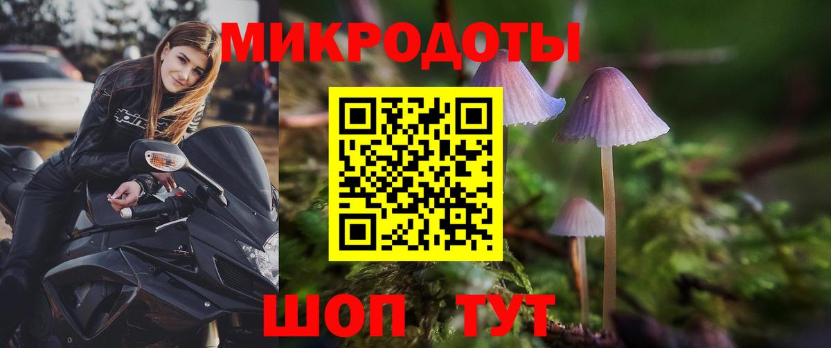 Галлюциногенные грибы Psilocybe  Вход с VPN  Элиста 